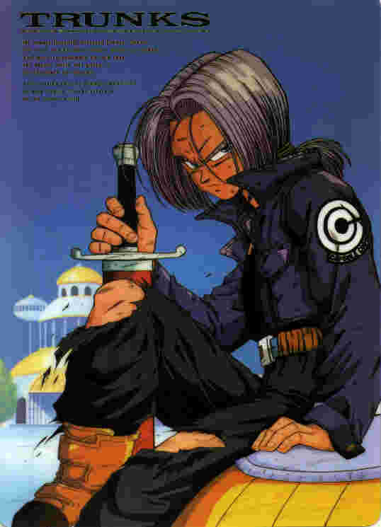 SnJ
